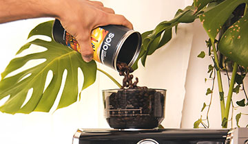 ¿Por qué café en grano?