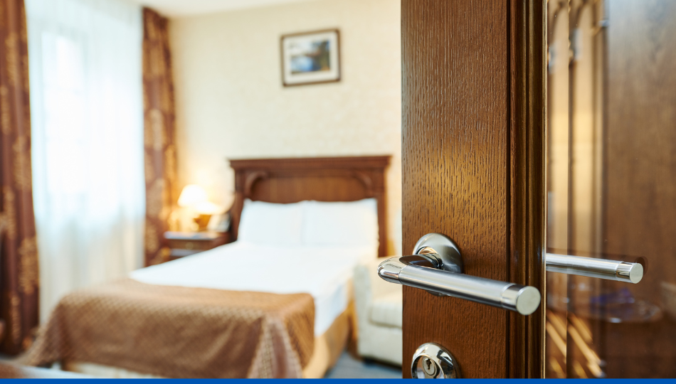 ¿Cómo son las chinches y qué hacer si las ves en casa?