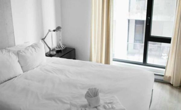 10 trucos para eliminar chinches usando el vapor