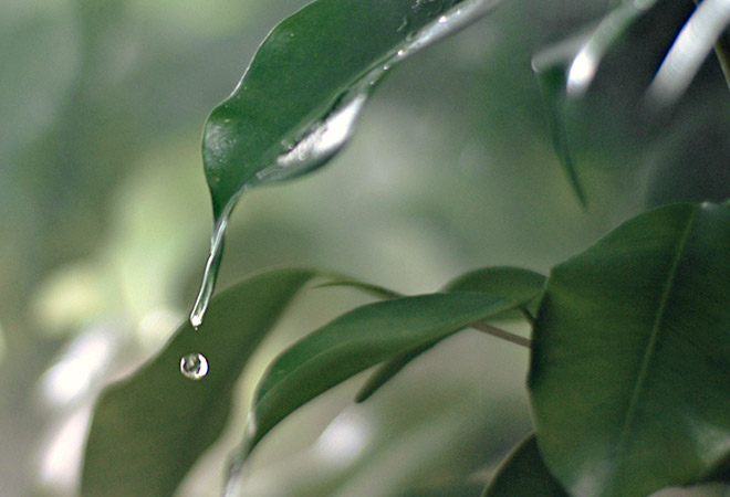 Los valores Polti: agua y calor