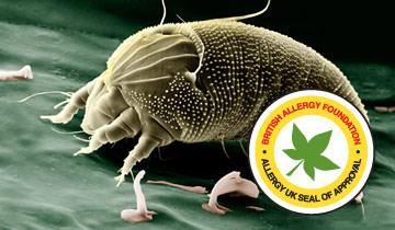 Vaporetto Lecoaspira FAV50 Multifloor - azione anti-allergica