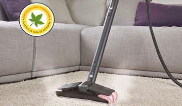 Vaporetto PRO90 Turbo tappeto elimina acari