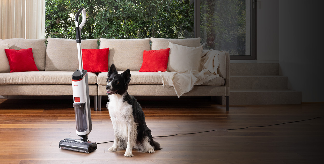 Wet and dry cleaning mop with a dog 