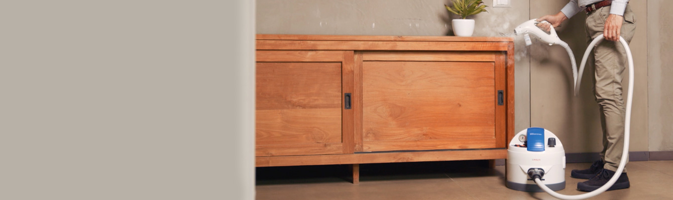 Eficacia de el vapor Polti