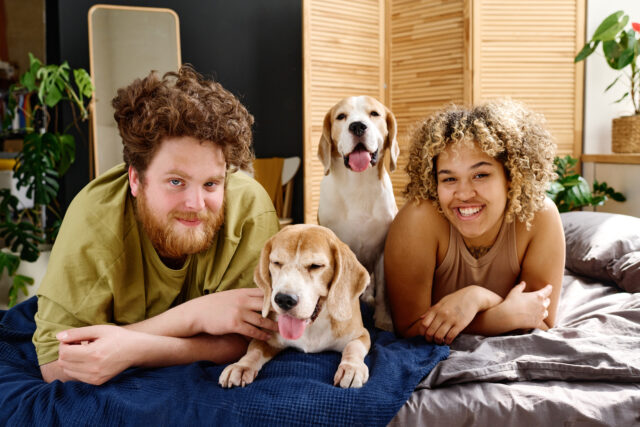 pareja junto a mascotas en casa
